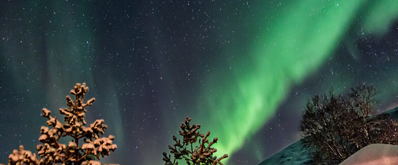 Northern Lights