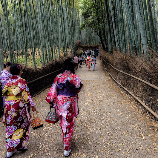 Kyoto sights