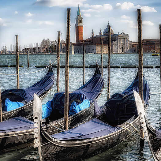 Go Risotto - Chasing the dream of a single dish