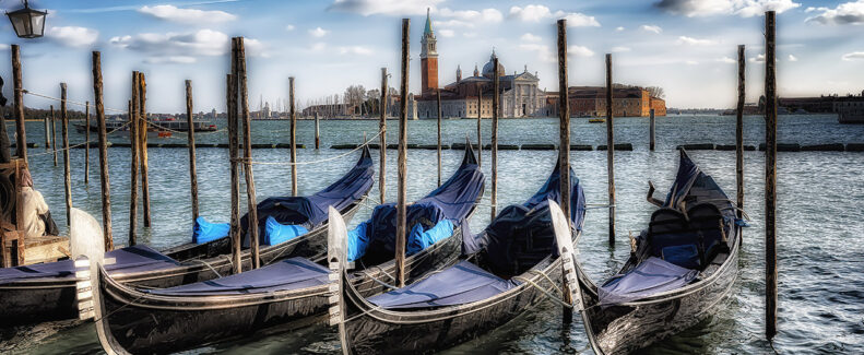 Go Risotto - Chasing the dream of a single dish